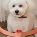 Marie-Noelle Villard - Facebook