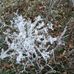 Marie Walch - Facebook