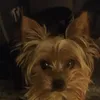 Marie Wallin - @marri.07 - TikTok