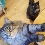 Marie Warner - @mariewarner1976 - Instagram