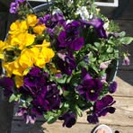 Marie Warnick - Facebook
