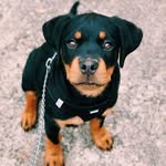 Marie Wayne - @mariewayne144 - Instagram