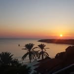 Anne-Marie Weekes - @annemarie.weekes - Instagram