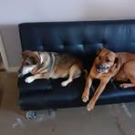 Marie Weekes - Facebook
