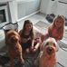 Marie Weldon - Facebook