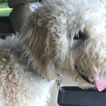 Marie Weldon - @marie.weldon.0214 - Instagram