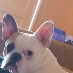Ruby Tina Marie westfall - @rubytinamariewestfall - Instagram