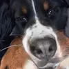 Marielle819 - @mariellewesthoff - TikTok