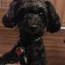 Marie Wetherbee - Facebook