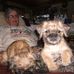 Marie Whiting - Facebook