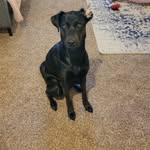 Finnlay Marie Wicks - @thefinnlaychronicles - Instagram