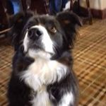 Jemma Ann Marie Wilcox - @jemmasmithey - Instagram