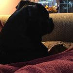 Marie Wilcox - @mariewilcox62 - Instagram