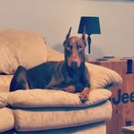 Jennifer Marie Wiles - @alansheart05 - Instagram