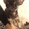 Marie Wiles - @marie.wiles - TikTok