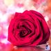 Marie Windham - Facebook