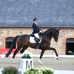 Marie Witt Poulsen - @mariewittpoulsen_witthorses - Instagram