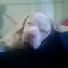 Marie Wolfe - @mariewolfe3 - TikTok