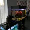Marie Woolley - @marie.woolley - TikTok