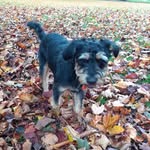 Marie Wright - @mariewright5953 - Instagram