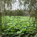 Marie Yip - Facebook