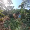 Mariel Torrez Brown - @marieltbrown - TikTok