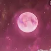 Mariel Diaz - @marieldiaz22 - TikTok