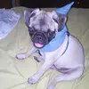 Mariel Diaz - @marieldiaz5 - TikTok