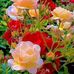 Mariel Robert - Facebook