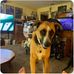 Mariela Torrez - Facebook