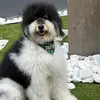 mariettadavis146 - @mariettadavis146 - TikTok