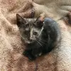 @mdwms47! - @mariettadavis431 - TikTok