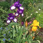 Marietta Snell - @snellmarietta - Instagram