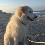 Marijohn Kirsch - @mjguthrie82 - Instagram