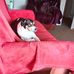 Marika Parry - Facebook