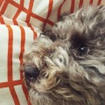 marika thomas - @marikathomas78 - Instagram