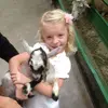 Marika_Ward🎊 - @thecutethreecats - TikTok