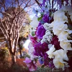 mariko abe - @teastory2021 - Instagram