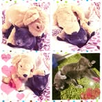 Mariko Abe - Facebook