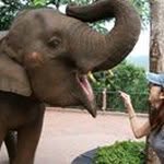 Mariko  Hashimoto - @hashimoto2mariko - Instagram