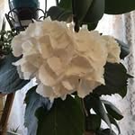 Mariko Hashimoto - @love.daiki.1227 - Instagram