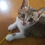 Mariko Hashimoto - Facebook