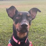 Mariko Hoffman - @tandr36 - Instagram