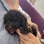 Mariko Maruyama - @8.mariko - Instagram