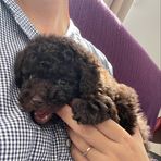 Mariko Maruyama - Facebook