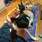 Mariko Maruyama - @mumukirara - Instagram