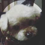 Mariko Terada - @mariko.terada - Instagram
