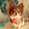 mariko - @mariko_wada - TikTok