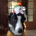 mariko wada - @anppy78 - Instagram
