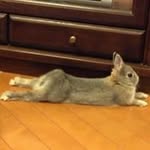 Mariko Wada - @wadmar0521 - Instagram